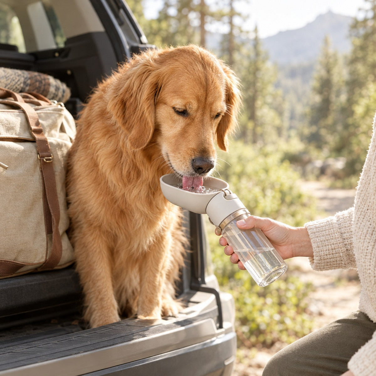 Travel collection: dog drinking from a portable water bottle